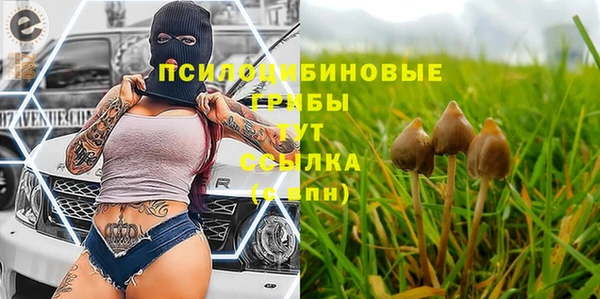a pvp Абинск