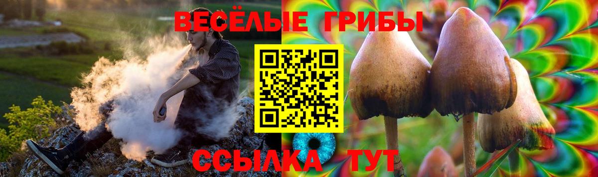 Псилоцибиновые грибы Magic Shrooms  купить наркотик  Комсомольск-на-Амуре  Вход с VPN 